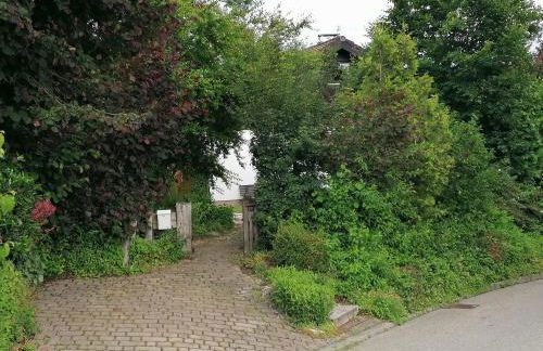 Im Herzen der Natur - Foto 59