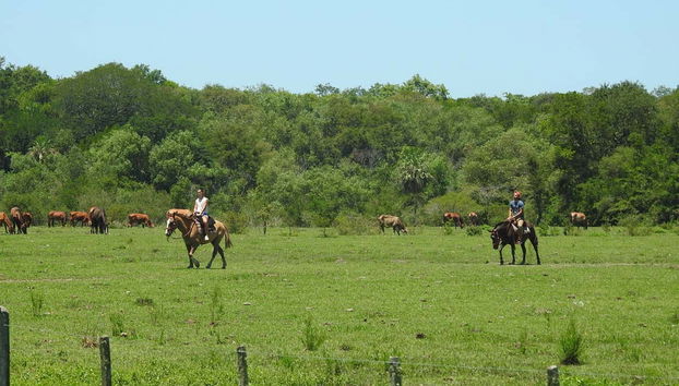 Disfrutando del paseo a caballo por la reserva