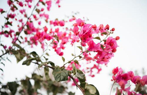 Villa Maila - Accogliente Villetta con Giardino Privato in Salento - Foto 47