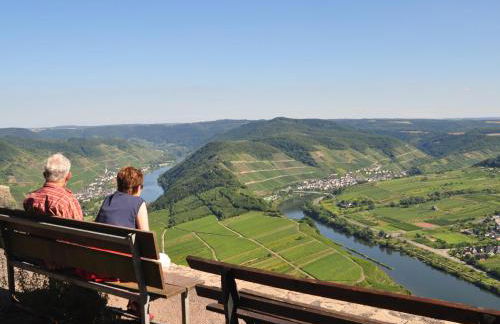 Ferienwohnung am Moselufer - Foto 42