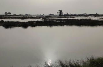 Wherry Green Guest House (PRAIA DA BARRA)❤️ - Foto 49