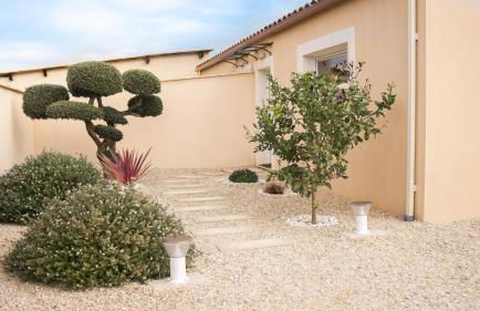 Pâquerette - Foto 46