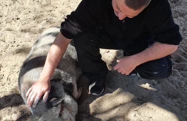 Gnaden- und Ferienhof Saale Wittgenstein in the middle of gar nix - Foto 46