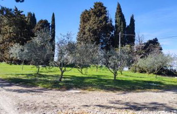 Les jardins du Canal - Foto 24