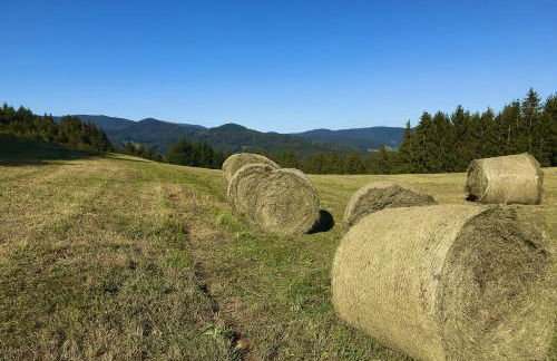 Ferien-Apartment im Genusshotel Hirschen (Südschwarzwald) - Foto 46