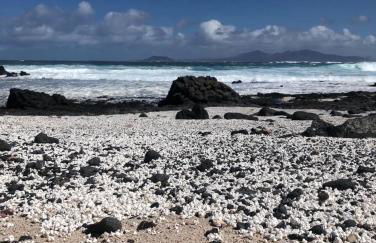 Villa Miraki Fuerteventura Surf Relax - Foto 34