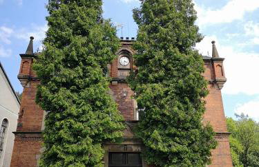 Kot Pocztowy - Foto 39