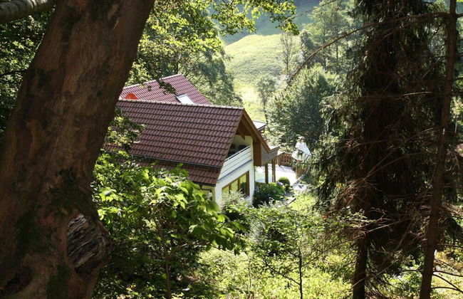 Apartment Haus am Berg, Lonau - Foto 59