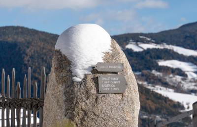 DILIA Chalets & Apartments - Foto 9