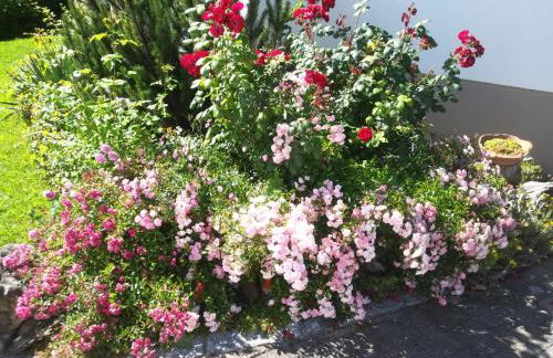 Ferienwohnung Wetterisch - Foto 12