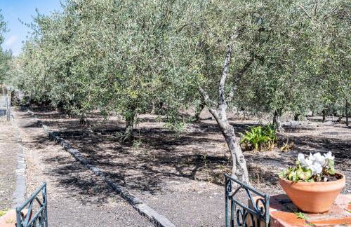 Villa Ninina nel Cuore del Parco dell’Etna x10 - Foto 4