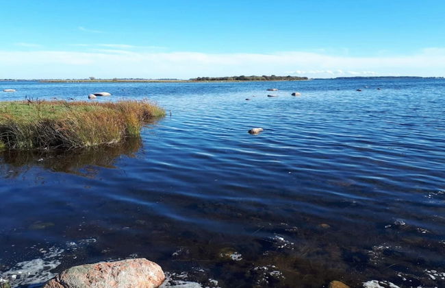 6 Person Holiday Home in Kettinge - Foto 53