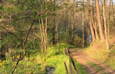 1878 Victorian Farm House near Asheville - Foto 33