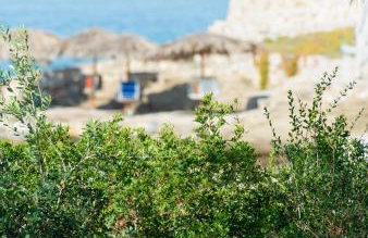 Akti Elia Villas Beachfront Collection - Photo 48