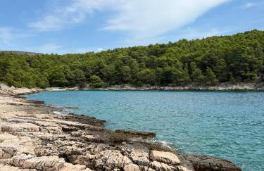 Nada Apartment, Uvala Koramaslinova, Brač - Photo 32