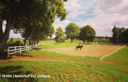 Ferienhaus SeeWaldMeer am Pinnower See bei Schwerin - Foto 29