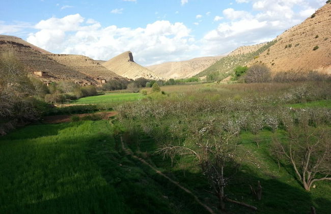 Room-gîte Tawada - Haut-atlas - Room for - Photo 27