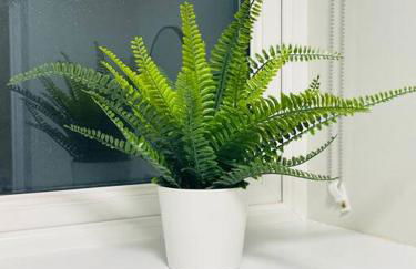 Eastwood Lodge Apartment No1 Woodhall Spa - Foto 7