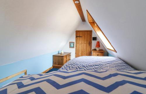 Kingfisher - Photo 22