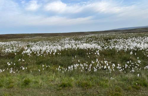 Cuddles & Bubbles Cozy Cabin with jacuzzi spa hot tub - Foto 30