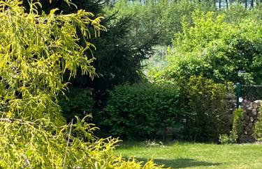 Apartment Willa Teresa by Interhome - Foto 13