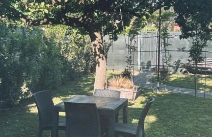 Appia Antica Country House giardino parcheggio Fermata bus - Foto 4