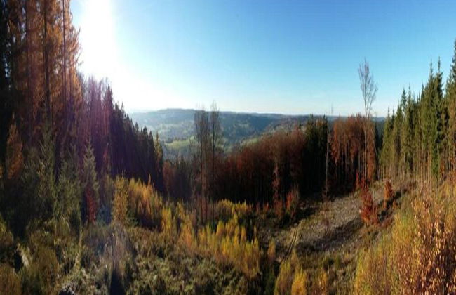 Charming Chalet in Vielsalm - Photo 40