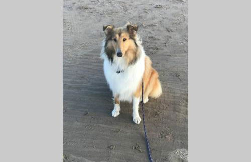 The Byre (Unusual and Different). - Foto 48