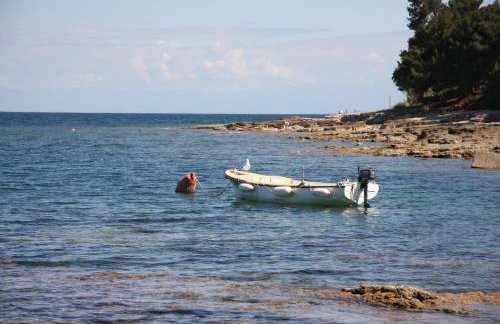 Apartman Rino - Foto 29