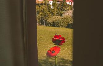 Agriturismo Re Tarquinio - Foto 58