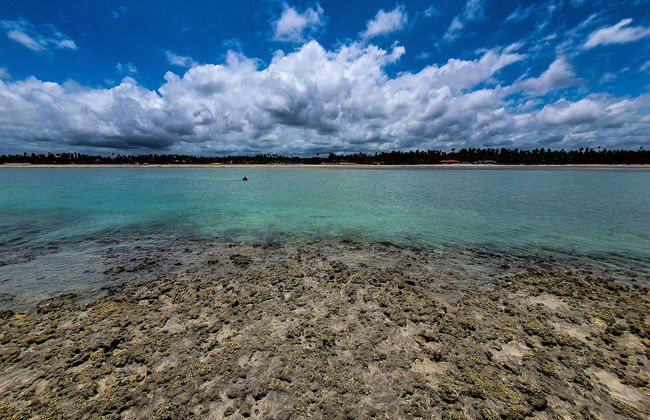 Xaréu Flats Maragogi - Foto 21