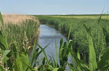 Oase am Deich - Photo 65