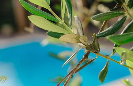 Apartment ENJOY BLUE, with pool & pets welcome - Foto 30