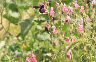 Apartments by the sea Tkon, Pasman - 8218 - Foto 13