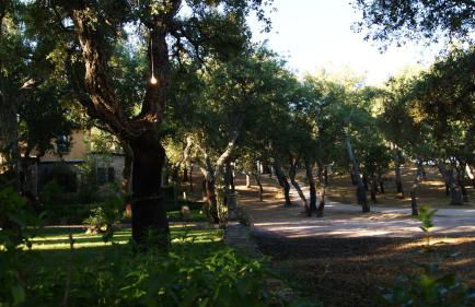 Agriturismo Le Sughere - Foto 37