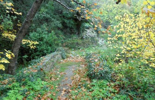 Periklis Guesthouse Anavriti. - Foto 43