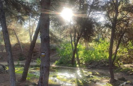 Apartamento Luz de Almoradi - Foto 33