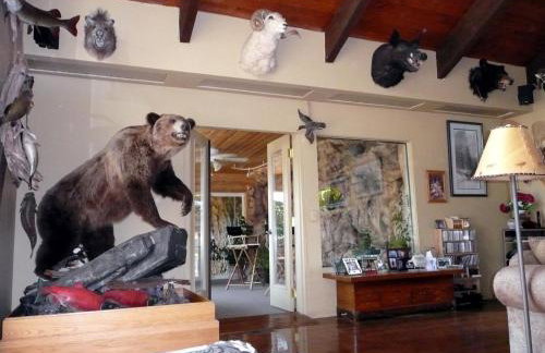 Whitebird Summit Lodge - Foto 36