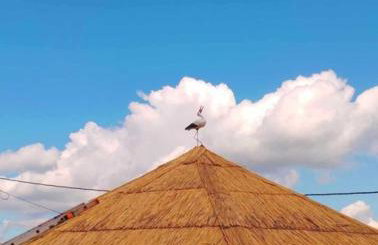 Chatka Przytulasek - Foto 9