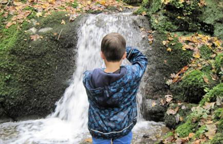 Gschwandnerhof - Foto 37