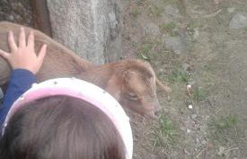 Emily's House - Foto 36