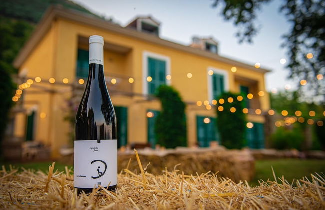 Artemide Villa Luna con Piscina - Foto 52