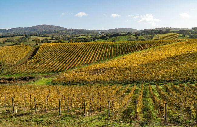 Villa Borgiano - Photo 25