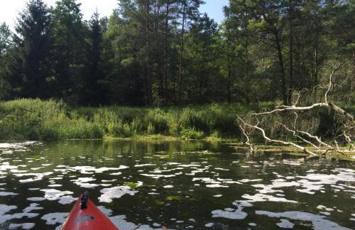 Przystań Piława - Foto 74