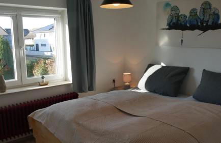 Großer Elefant - Foto 19