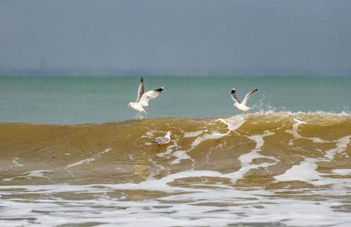 Appartementresidenz 4 Seasons - Foto 11