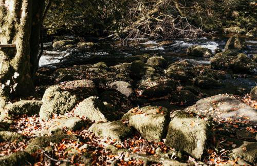 Fox Tor Apartment - Foto 19