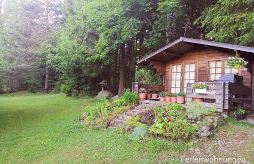 Ferienwohnungen Kremser bei Spiegelau Eppenschlag - Foto 42