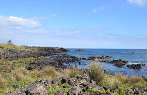 Friends'house - azores - Foto 31