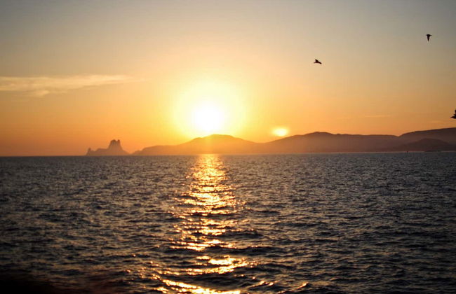 Escursione a Formentera e Cala Saona - Foto 6